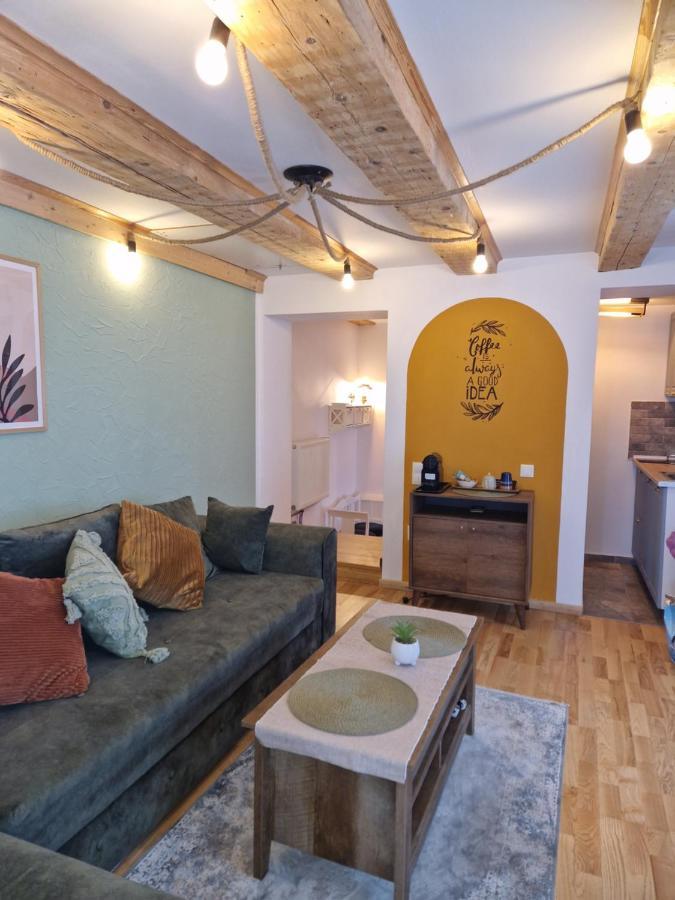 Evelyn'S Place Lejlighed Braşov Eksteriør billede